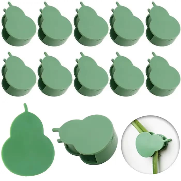 Fixation murale grimpante invisible pour plantes, rotin et vigne, clips de support de traction, supp