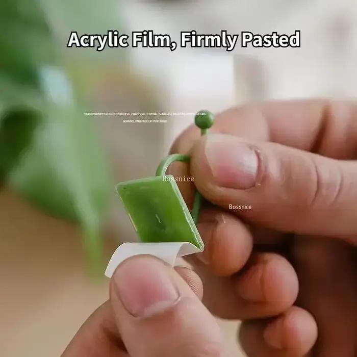 Clips muraux pour plantes grimpantes, 20 pièces, crochet à boucle de vigne, fixateur de pince en rot