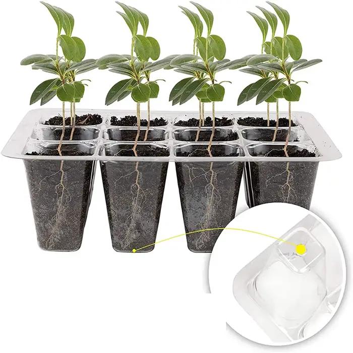 Pots de plantes en plastique avec trou de 6/12 cellules, boîte de culture, pots de semis de plantes,