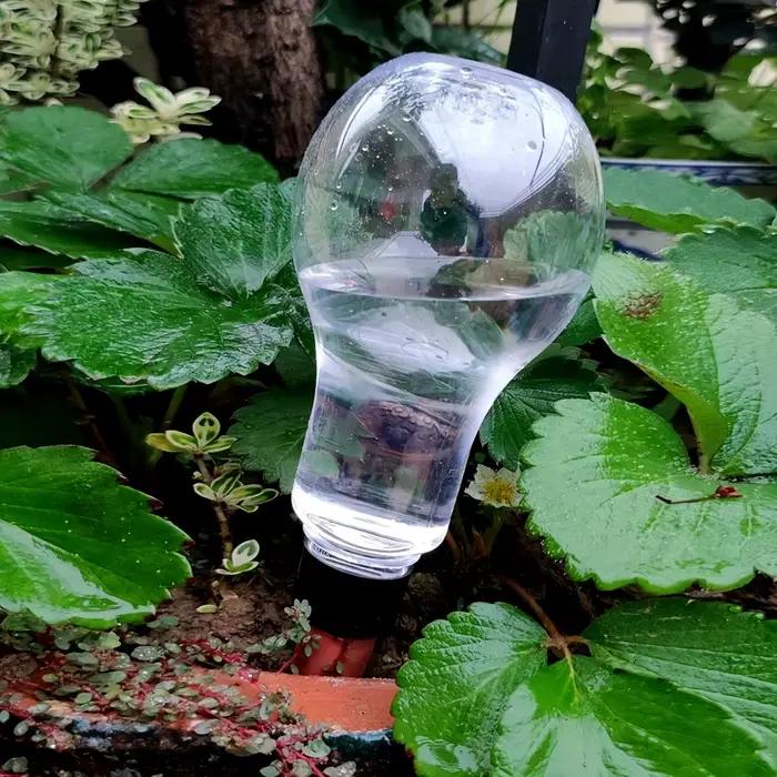 Outil d'arrosage automatique de jardin, dispositif d'arrosage goutte-à-goutte d'intérieur pour plant