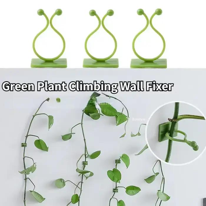 Clips muraux pour plantes grimpantes, 20 pièces, crochet à boucle de vigne, fixateur de pince en rot