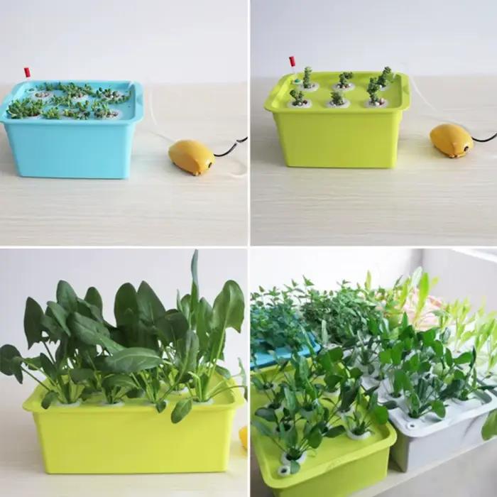 1 ensemble de système hydroponique pour plantes à 6 trous, boîte de jardin intérieure, Kit de croiss