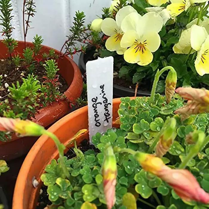100 pièces étiquettes de plantes de jardin étiquettes de plantes en PVC marqueurs de pépinière Pots 