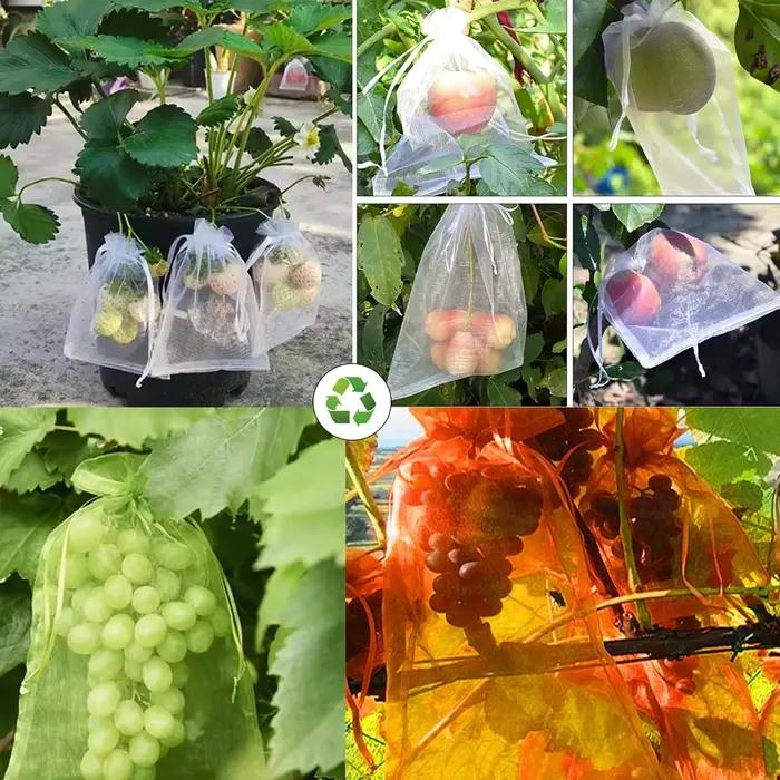 Sacs de Culture de Fruits et Légumes, Protection Contre les Oiseaux, Filet en Maille, Outils de Jard