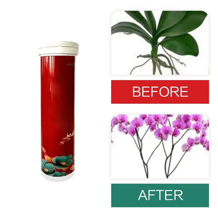 Comprimés de récupération universels à dégagement lent pour jardin, orchidées, plantes succulentes, 