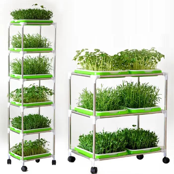 Plateau de germination plateau de germination des graines plateau de semis plantation de graines d'h
