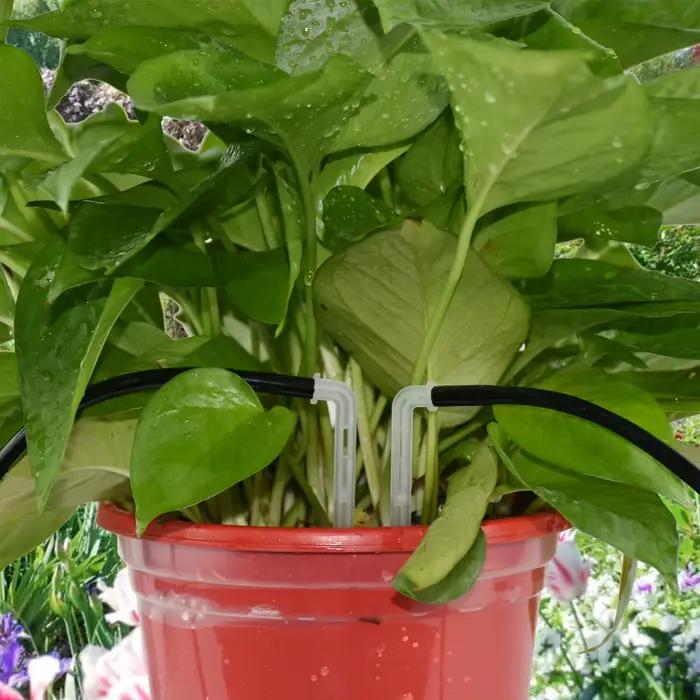 SPRYCLE – goutte-à-goutte d'irrigation goutte-à-goutte à flèche courbée 1/4, connecteur de tuyau d'e