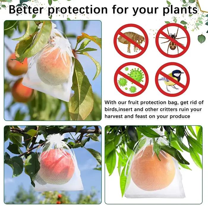 100 sacs de protection pour raisins, sacs en filet de jardinage, sacs agricoles pour la lutte antipa