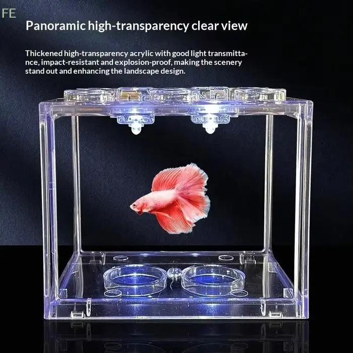 Mini aquarium en acrylique, boîte pour reptiles, aquarium empilable, cylindre paysager, algues marin