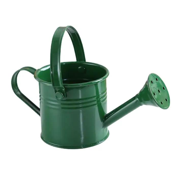Arrosoir en métal, bouilloire à fleurs de jardin, Mini petit Pot de pulvérisation d'eau, saupoudrer 