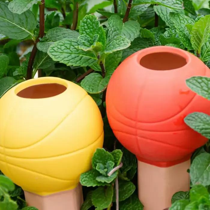 Cônes d'Arrosage existent en Forme de Basket-ball pour Plantes