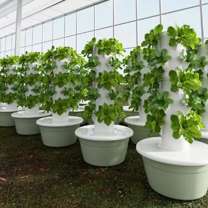 Tour hydroponique verticale pour la maison