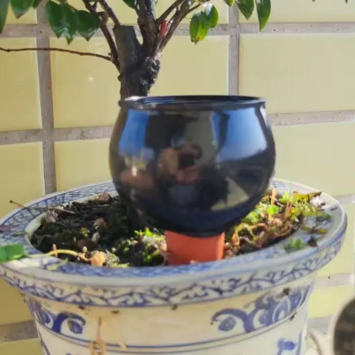 2 pièces Système d'irrigation automatique pour plantes