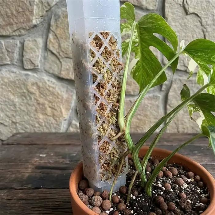 Colonne d'arrosage automatique en forme de D pour plantes