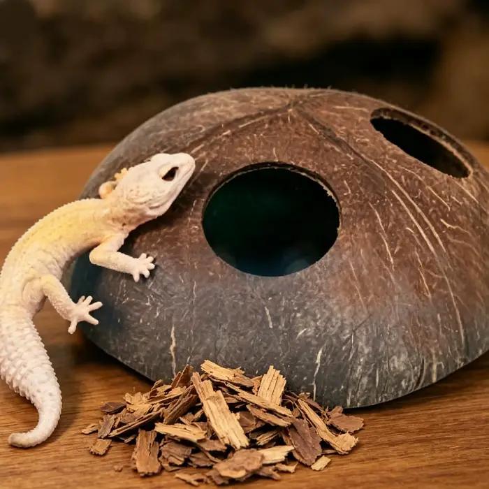 Caverne Naturelle Double Entrée Faite à la Main pour Reptiles : Cachette Décorative pour Tarantules, Caméléons, Gécoques et Petits Animaux Terrestres