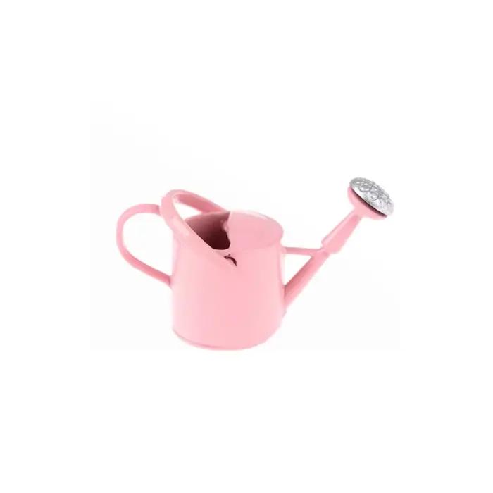 Mini arrosoir en métal créatif