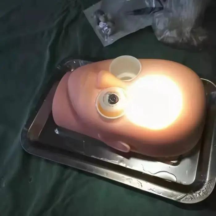 Modèle de simulation de tête pour la formation à la réparation capsulaire de la cataracte, simulateur oculaire pour la pratique de la chirurgie de la cataracte ophtalmique avec support