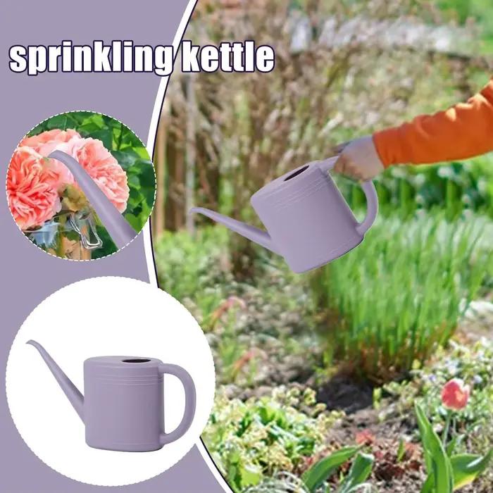 Arrosoir pour plantes d'intérieur 1L