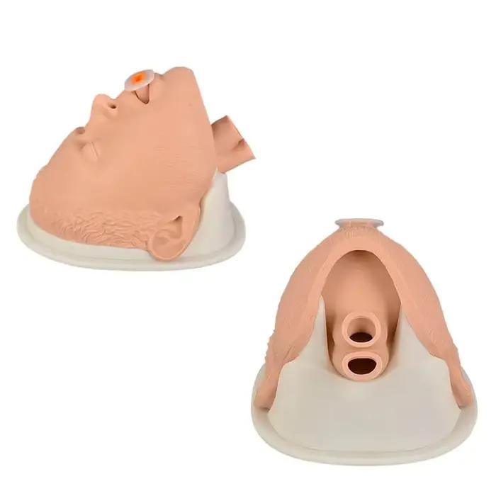Kit d'entraînement de simulation de gestion des voies respiratoires pour adulte avec mannequin de tête d'intubation, base et anatomie des voies nasales et orales pour la formation en EMS