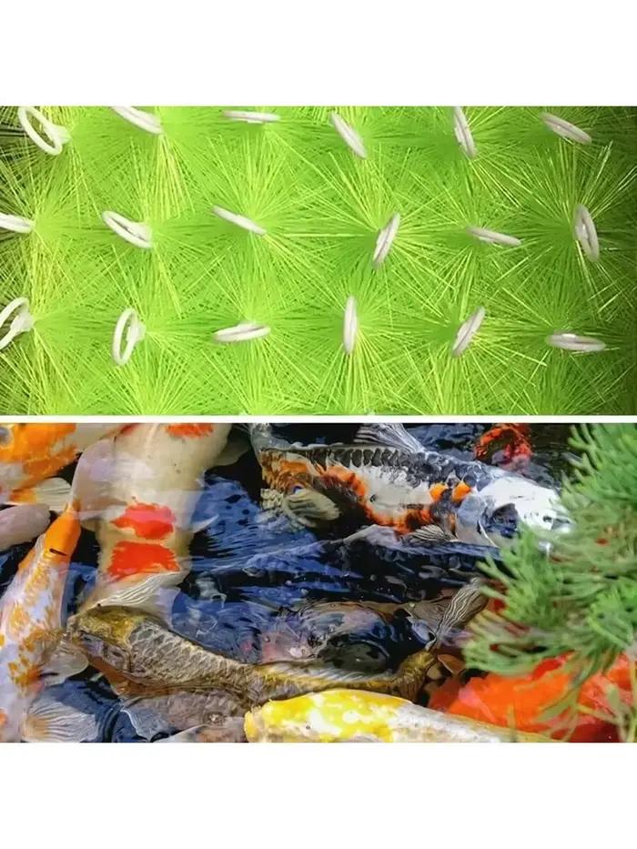 Brosse de Filtration pour étang aquatique