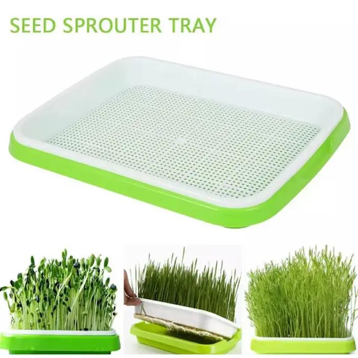 Microgreens plateau de germination hydroponique/plateau