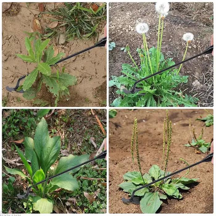 Houe de jardin, outils agricoles
