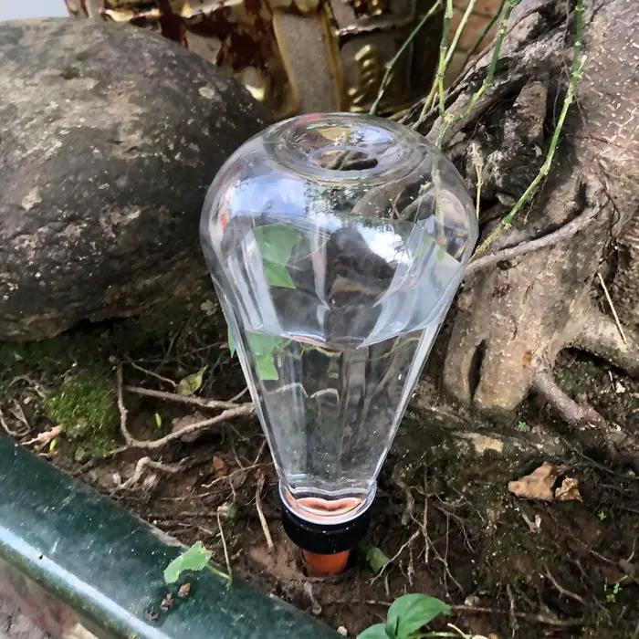 Arrosage automatique des plantes d'intérieur