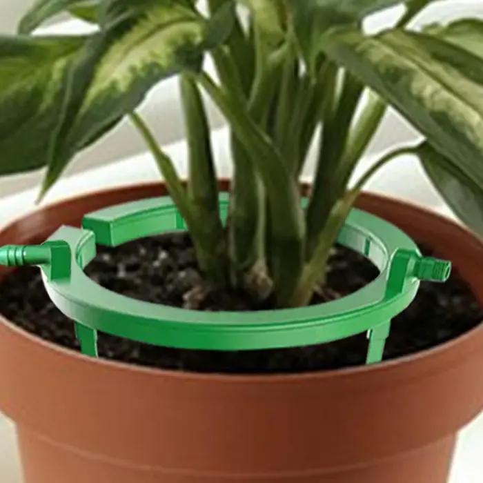 Anneaux d'irrigation pour plantes