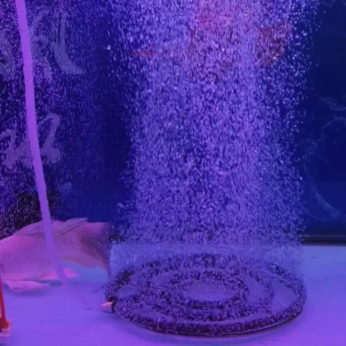 Étang à poissons Koi en acier inoxydable