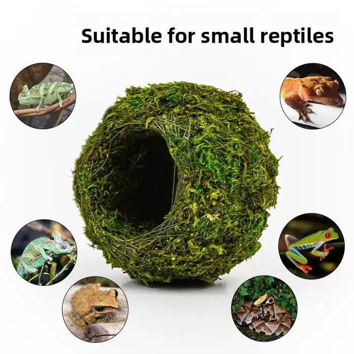 Abri Humide pour Reptiles – Grotte de Rétention d'Humidité pour Serpents et Géco-léopards, Décoration Naturelle en Mousse pour Terrarium Bio-Actif