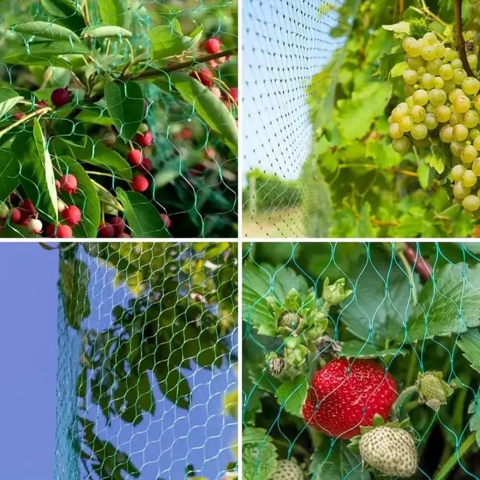 Filet de jardin et Protection des oiseaux