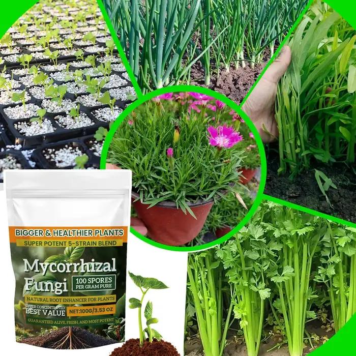 Rehausseur de racines pour plantes naturelles