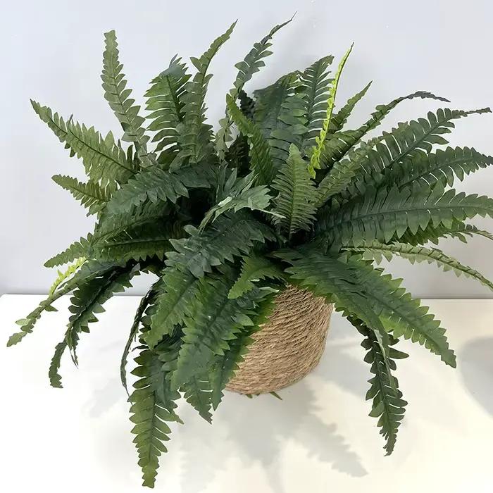 Plante de Fougère Artificielle, Feuilles d'Enge Perses, Simulation de Plantes Vertes, Décor de Salon, Fougères, Cuir oral elu Perse, Décoration de la Maison