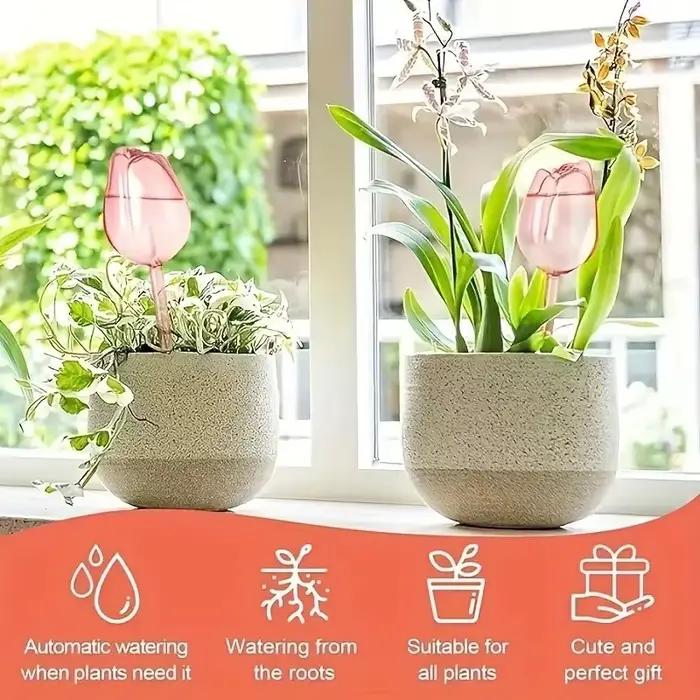 Globes d'arrosage tulipes pour plantes – Système