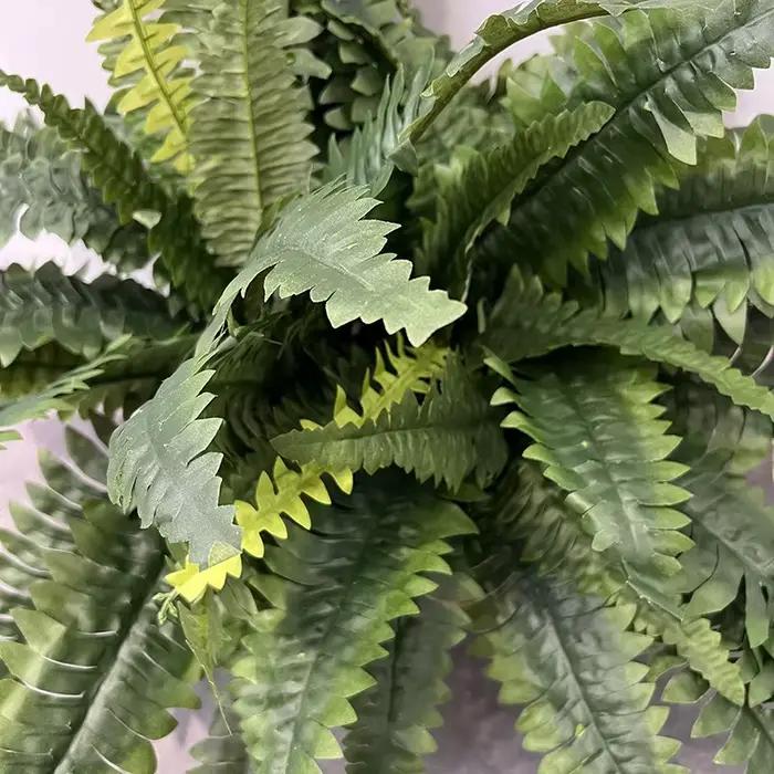 Plante de Fougère Artificielle, Feuilles d'Enge Perses, Simulation de Plantes Vertes, Décor de Salon, Fougères, Cuir oral elu Perse, Décoration de la Maison