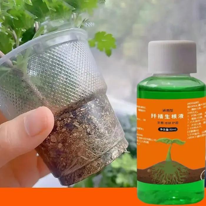 Solution d'enracinement pour roses liquide alimentée par algues pour le développement racinaire et la croissance des plantes occasions spéciales jardinage