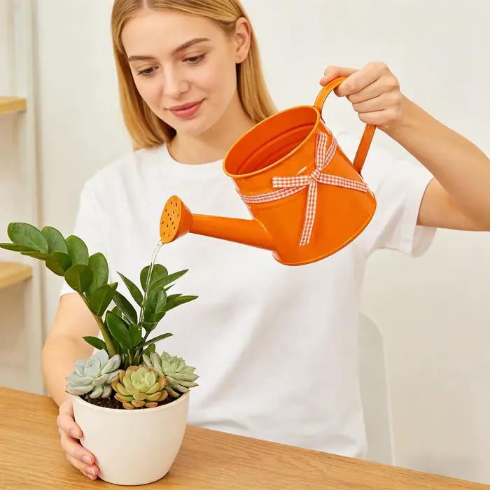 Indoor Watering Can 1L Metal Pot with Sprinkler Head and Gingham Ribbon Modern Plant