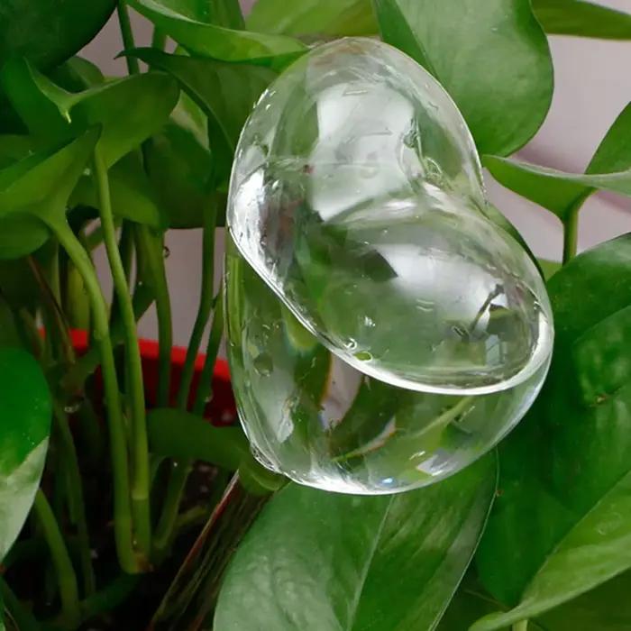 Ampoules d'arrosage automatique pour plantes