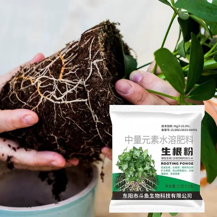 Poudre d'enracinement 1 sac – Stimulateur de croissance des racines pour plantes