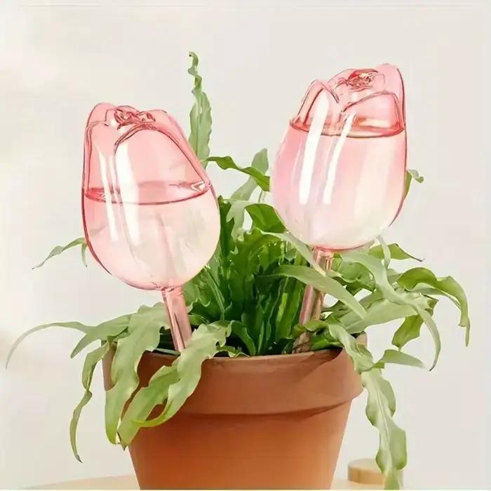 Dispositif d'arrosage pour tulipes 8/4/2/1PC