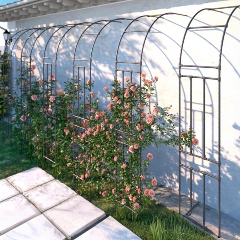 Support de jardin extérieur pour clématis ou roses, Support de vigne de raisin Durable, Support demi