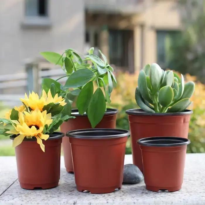 Pot de pépinière en plastique, 20 pièces/50 pièces, Pot de démarrage de graines, conteneur de plante