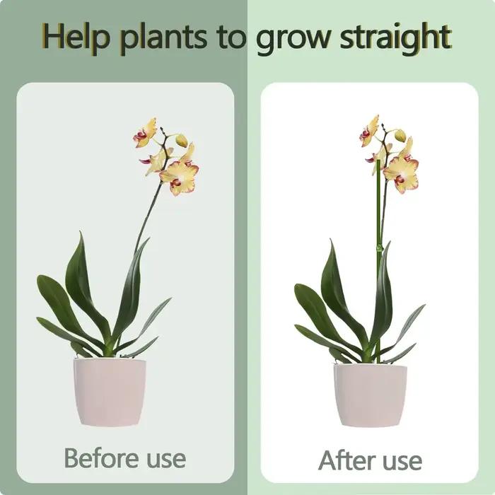 Piquets de Support de plantes pliables à tige unique, 16 pouces/40cm, vert, pour plantes d'intérieur