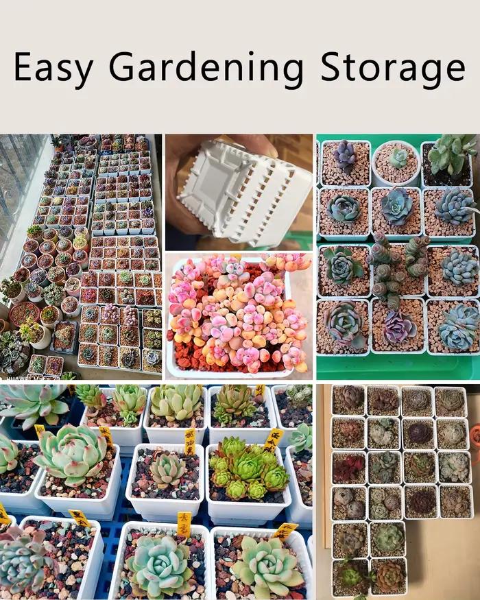 Pot Succulent en maille avec trous, Pot à Lithop pour Cactus, contrôle des racines, jardinière succu
