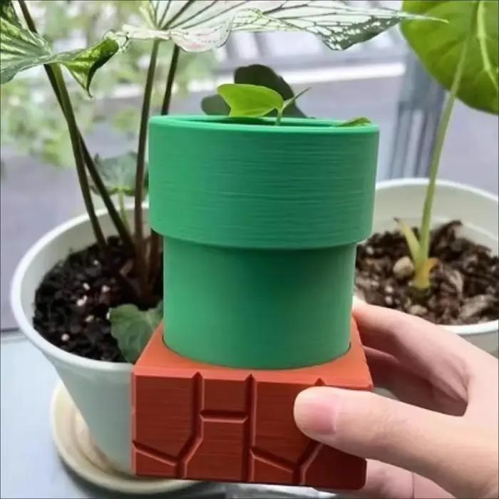 Pots de fleurs cannibales pour tuyaux d'eau, Pots de fleurs succulentes, Pots de plantation de porc-