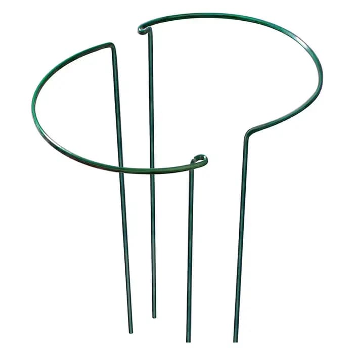Piquets de Support de plantes en métal robuste, 2 pièces, cadre de Support d'escalade pour jardin, g