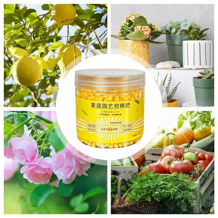 Engrais à libération lente contrôlé spécial 120 jours pour plantes succulentes, engrais granulaire n