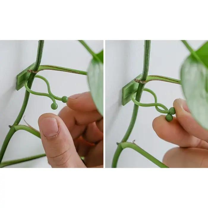 Fixateur de plantes et de plantes vertes, panier vert, vigne grimpante, Style mural suspendu, croche