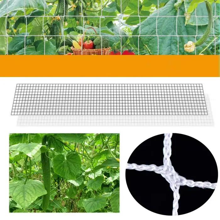 Filet en treillis polyester pour plantes, 1.67x20m, support pour plantes de jardin, fleurs, concombr