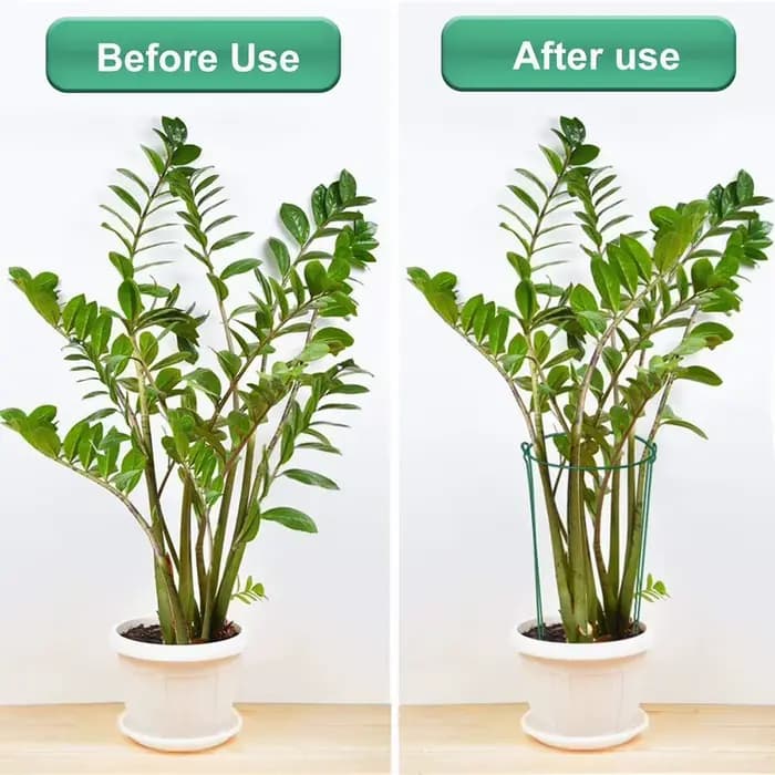 Piquets de Support de plantes en métal robuste, 2 pièces, cadre de Support d'escalade pour jardin, g